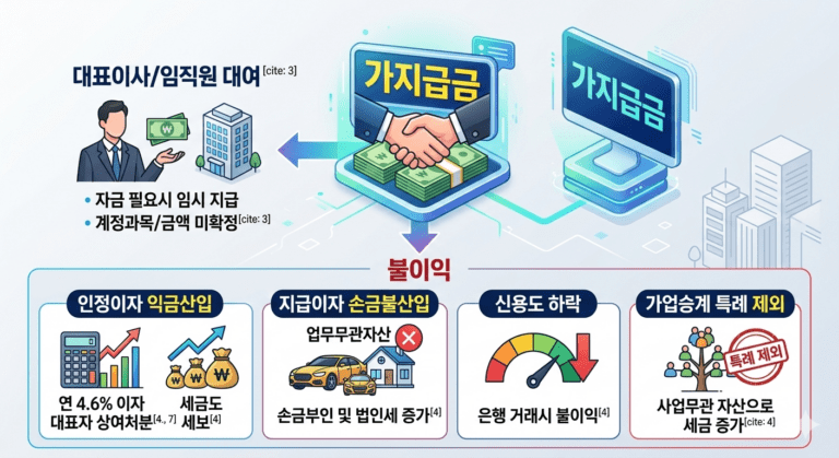 가지급금 이미지